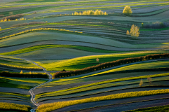 WYRÓŻNIENIE-ATRAKCJE-ANDRZEJ-BOROWIEC-WIOSENNE-POLA-ROZTOCZE-ZACHODNIE