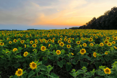 WYRÓŻNIENIE-ATRAKCJE-JOANNA-WACŁAWIK-KOLEJNO-ODLICZ-POWIAT-BIALSKI