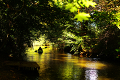 WYRÓŻNIENIE-ATRAKCJE-RENATA-PASTUSZAK-KAJAKIEM-PO-BYSTRZYCY-OSMOLICE-PIERWSZE