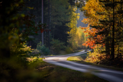 WYRÓŻNIENIE-ATRAKCJE-SYLWIA-ODRZYWOLSKA-JESIENNIE-PARK-KRAJOBRAZOWY-LASY-JANOWSKIE