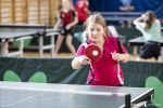 Dziewczynka w stroju sportowym, uczesana w dwa warkoczyki, odbija piłęczkę grając w ping ponga