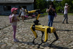 250601_DZIEŃ-DZIECKA-SKANSEN-1-16