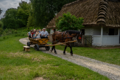 DSC04054-Poprawione-NRBP