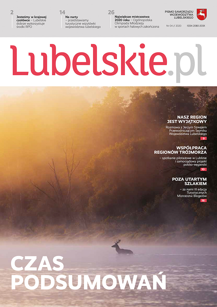 Okładka Lubelskie.pl - Jeleń na polanie w mglisty poranek.