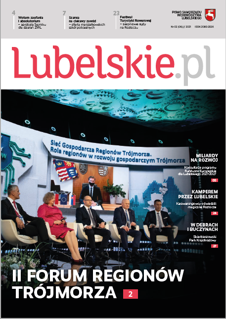 Okładka Lubelskie.pl - 5 ludzi siedzących w półokręgu podczas konferencji.