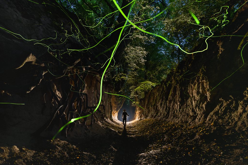 I MIEJSCE ATRAKCJE PIOTR LISOWSKI ŚWIETLIKI W LESSOWYM WĄWOZIE NAŁĘCZÓW