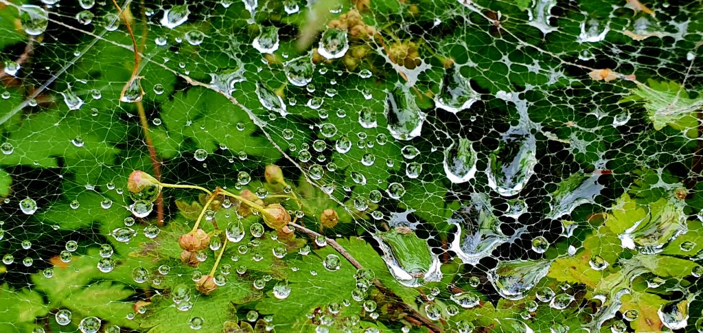 III MIEJSCE FOTOGRAFIA ARTYSTYCZNA MAGDALENA ŻMIJSKA ZATRZYMAĆ DESZCZ